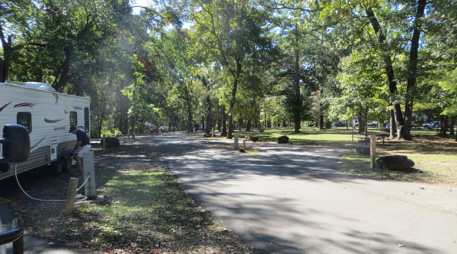 Big Pine campground. Tyler State Park, TX. Oct 2019