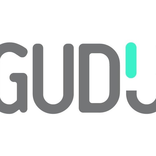 Gudu & Friends Vol. 1 | Various Artists | Gudu Records