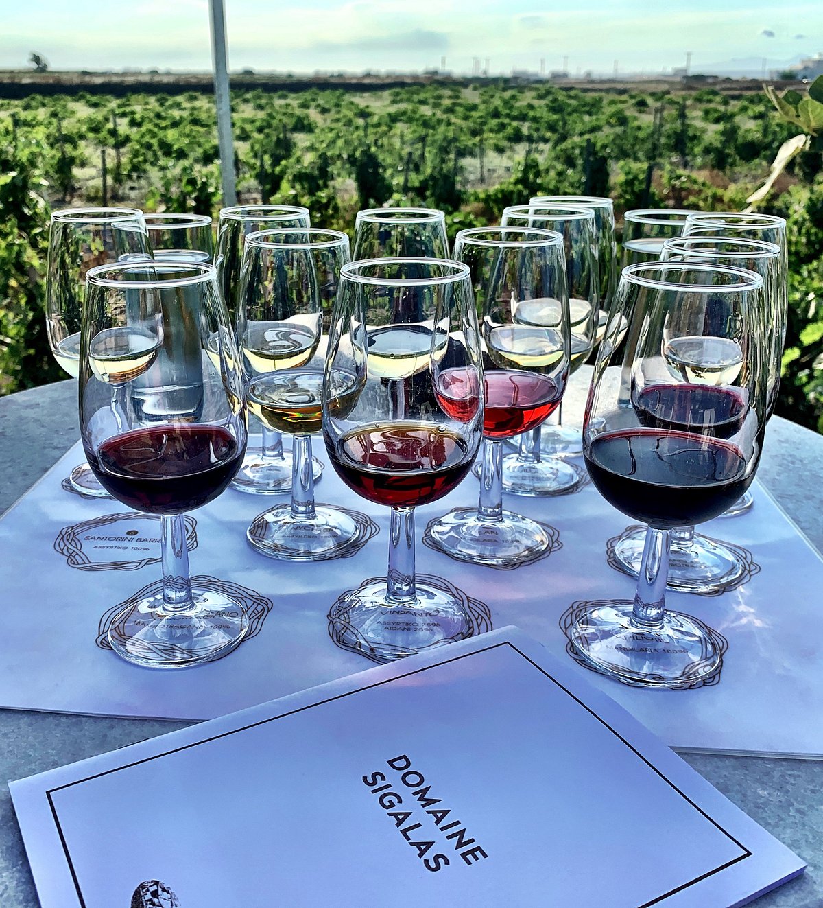sigalas winery tour