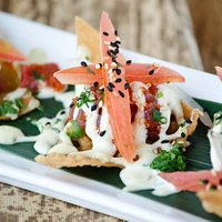 Tokyo nachos-sushi grade tuna, fried wontons, pico de gallo, wasabi aioli