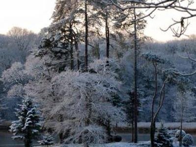 Island in Winter