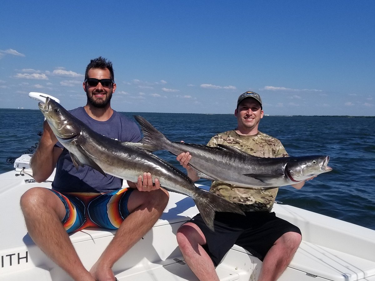 Gulf to Bay Fishing Charters - All You Need to Know BEFORE You Go