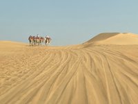 Moreeb Dune Liwa Oasis Aktuelle 2021 Lohnt Es Sich Mit Fotos Tripadvisor