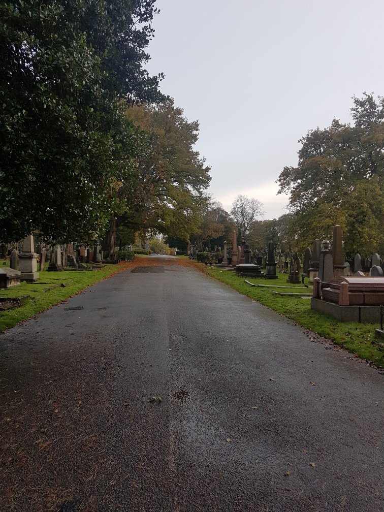 are dogs allowed in st helens cemetery