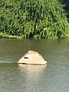 Pro Shop Puppy - Picture of El Tigre Golf at Paradise Village, Nuevo  Vallarta - Tripadvisor