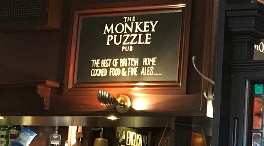 The Monkey Puzzle