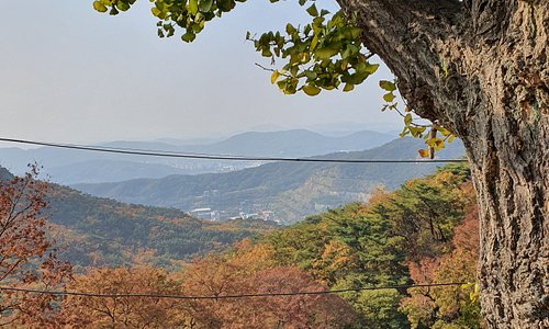 Anyang, South Korea 2024: Best Places to Visit - Tripadvisor