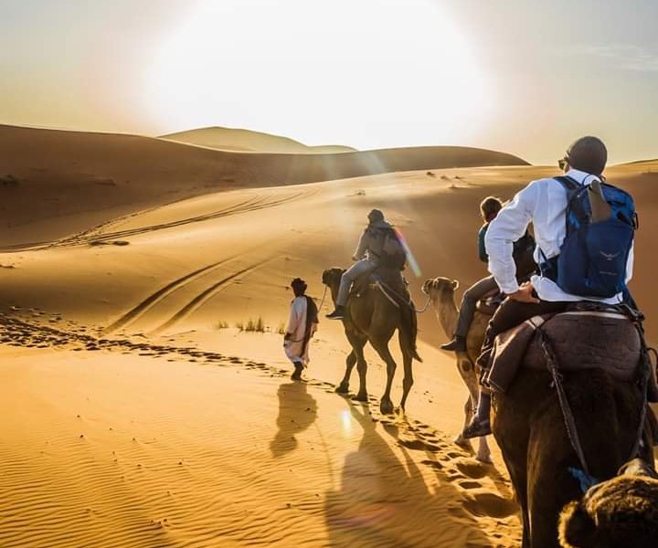 Camel Morocco - 페스 - Camel Morocco의 리뷰 - 트립어드바이저