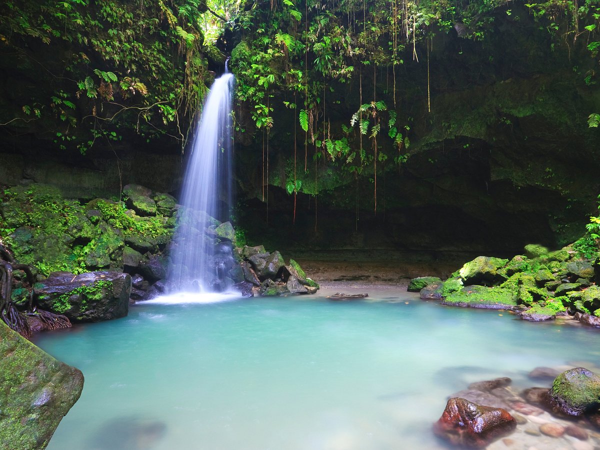 Nature Island Tours (Dominica) You Need to Know BEFORE You Go (with Photos) - Tripadvisor