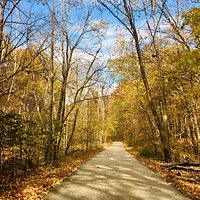 Scenic trails