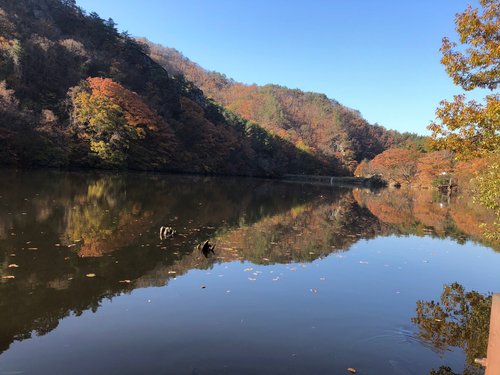 Cheongsong-gun sydney_park review images