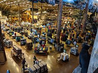 Bass Pro Shop - All You Need to Know BEFORE You Go (2024)