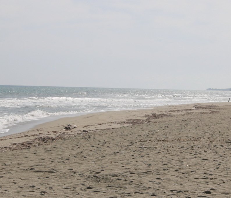 PLAGE D'ALISTRO (San Giuliano) - All You Need to Know BEFORE You Go