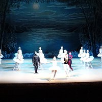 Swan Lake