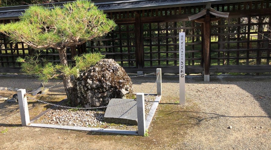 さざれ石がありました。君が代にでてくるやつです
