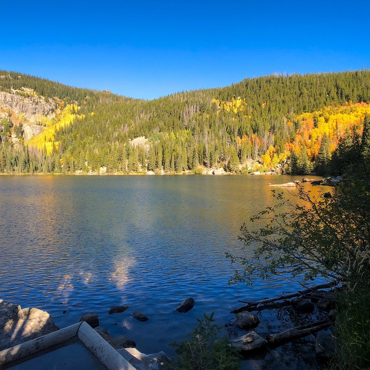 Bear Lake (Rocky Mountain National Park) All You Need to Know BEFORE