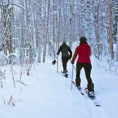 Northbound Ski Tours (Fairbanks) - All You Need to Know BEFORE You Go