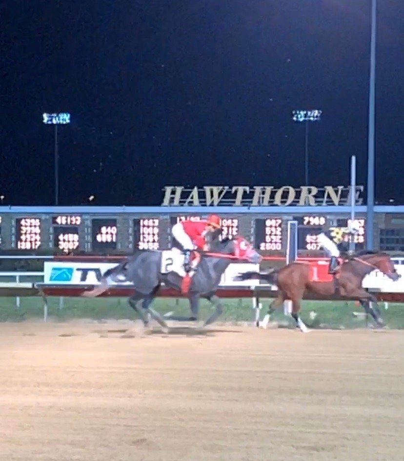 Hawthorne Race Course (Cicero) All You Need to Know BEFORE You Go