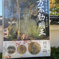 同聚院