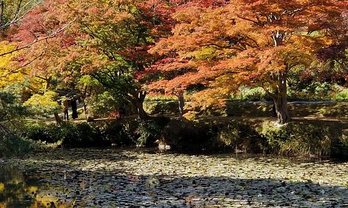 21 年日本本宮市的旅遊景點 旅遊指南 行程 Tripadvisor 21 年日本本宮市的旅遊景點 旅遊指南 行程 Tripadvisor