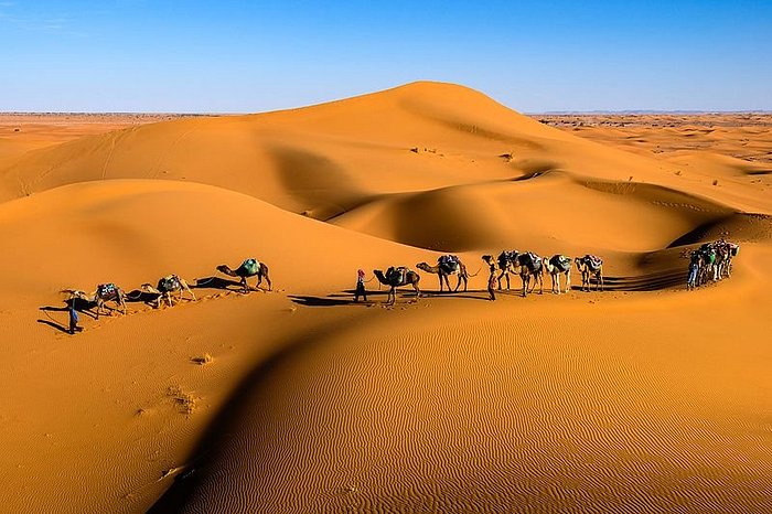 Desert Tours from Foum