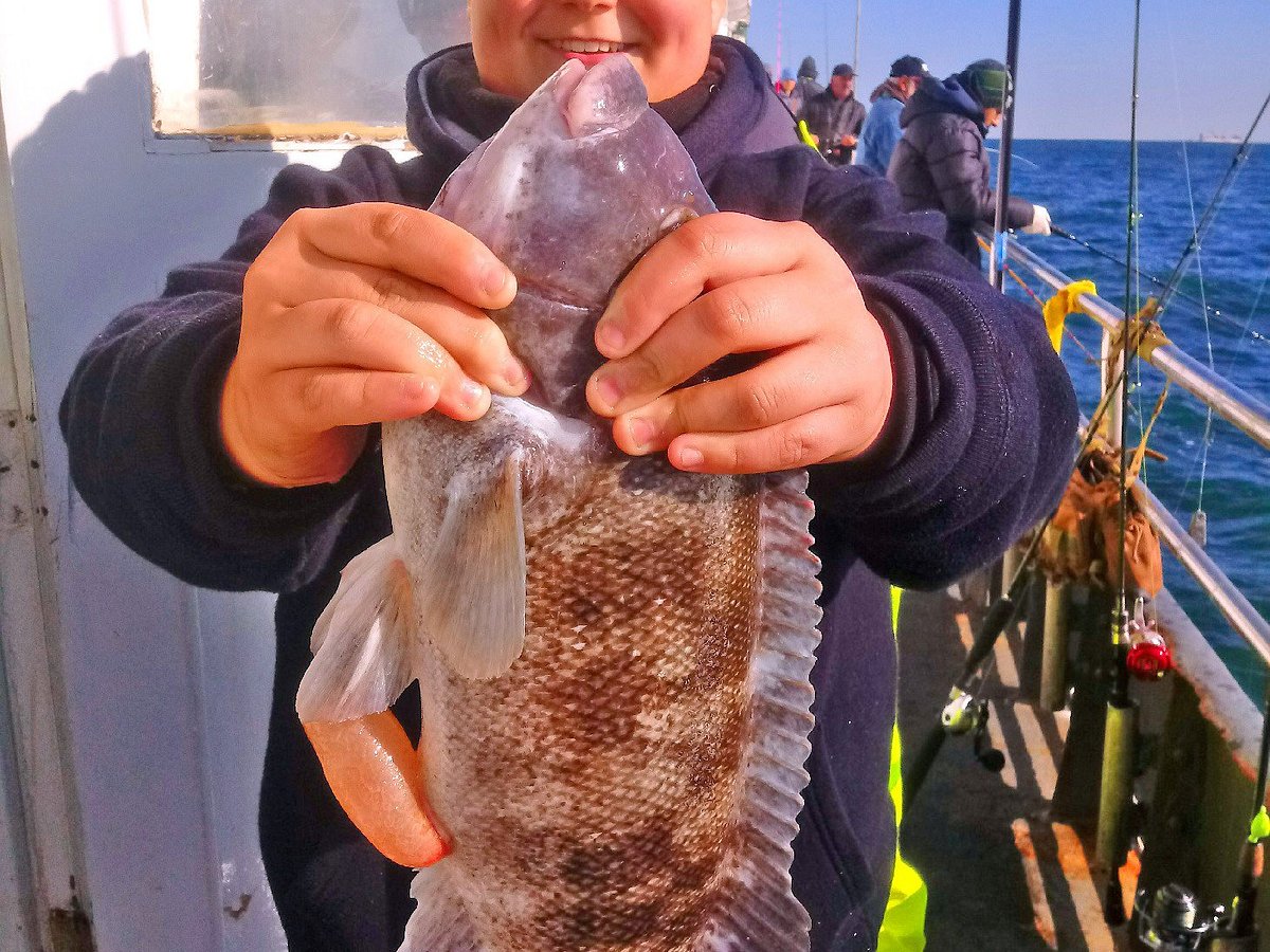 AUSSIE STYLE CHUM FISHING, with Capt dave