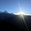 Anant