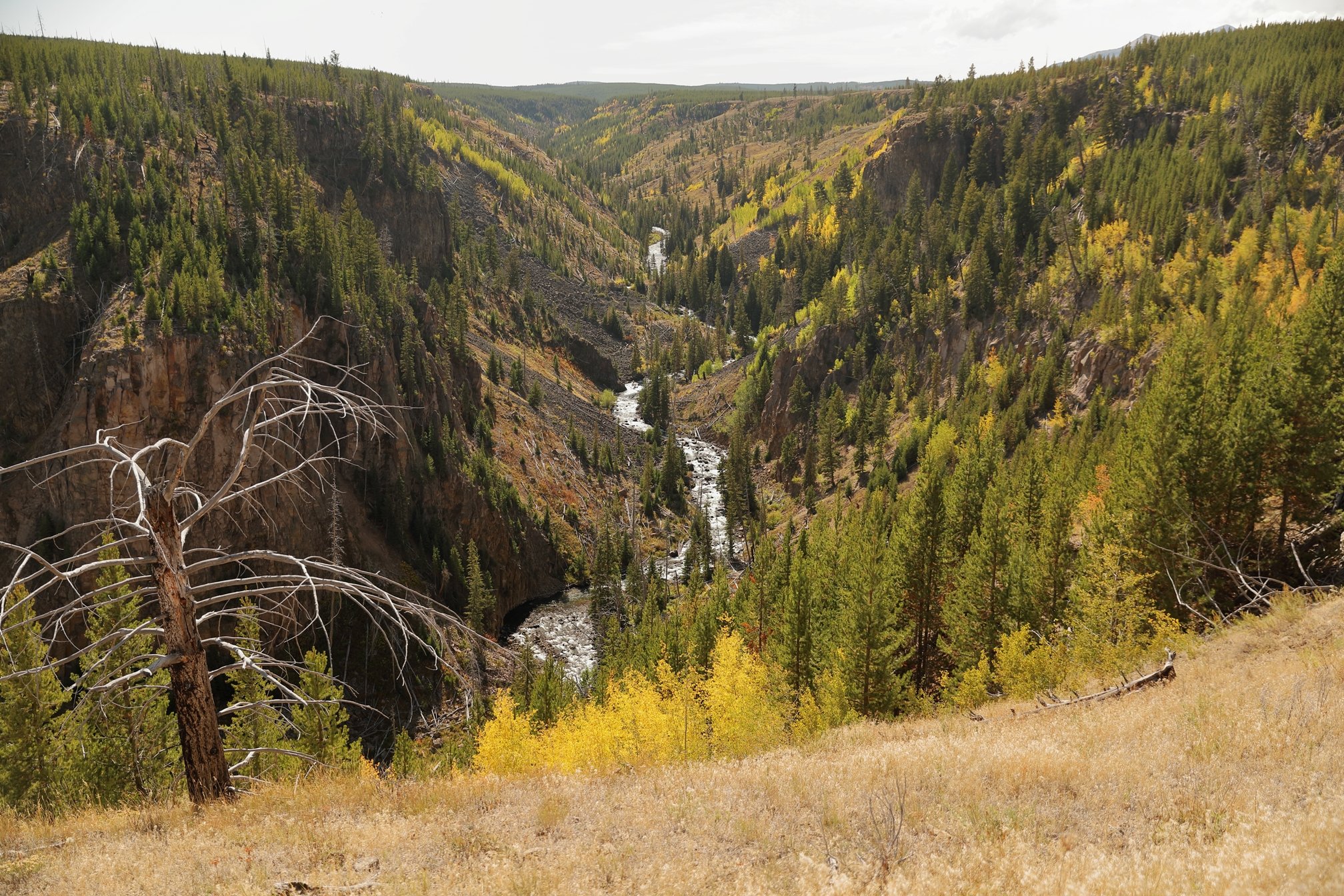 Osprey Falls Trail All You Need to Know BEFORE You Go 2024