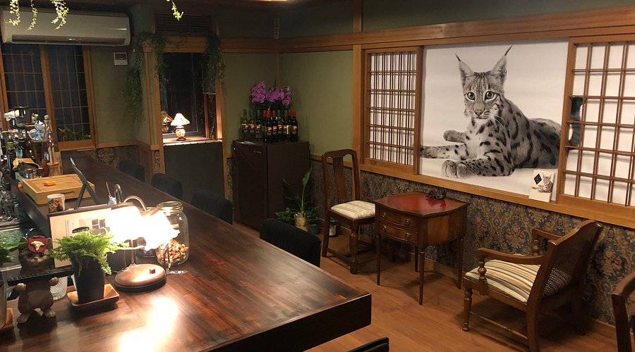CAFE & WINE NEKOBOH, Kyoto - Gion - Restaurant Reviews, Photos & Phone Number - Tripadvisor