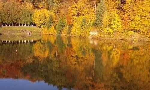 Доброго ранку!
Погода тішить львів'ян та гостей нашого міста 🌞сонечком та погожим днем. Саме час для роздумів біля озера з горнятком ☕️гарячої кави.
🏨Готель Львівська Швейцарія розташований саме біля озера оточеного лісом.
Ласкаво Просимо.