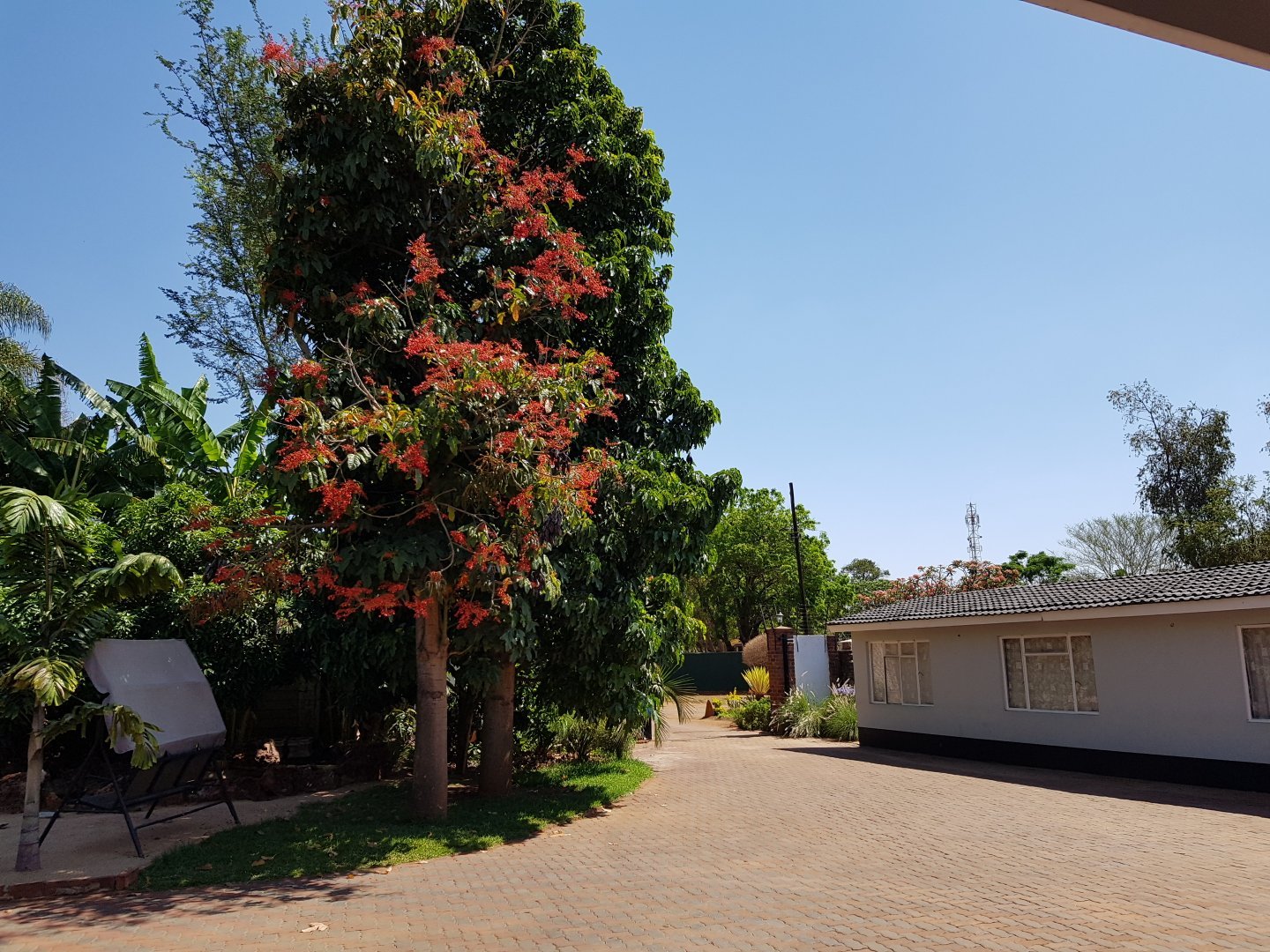 MT PLEASANT BED AND BREAKFAST (Harare) - B&B Reviews, Photos, Rate ...