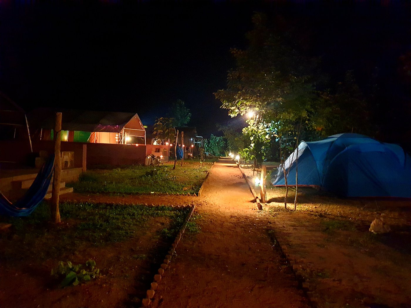 jhinna night safari camp