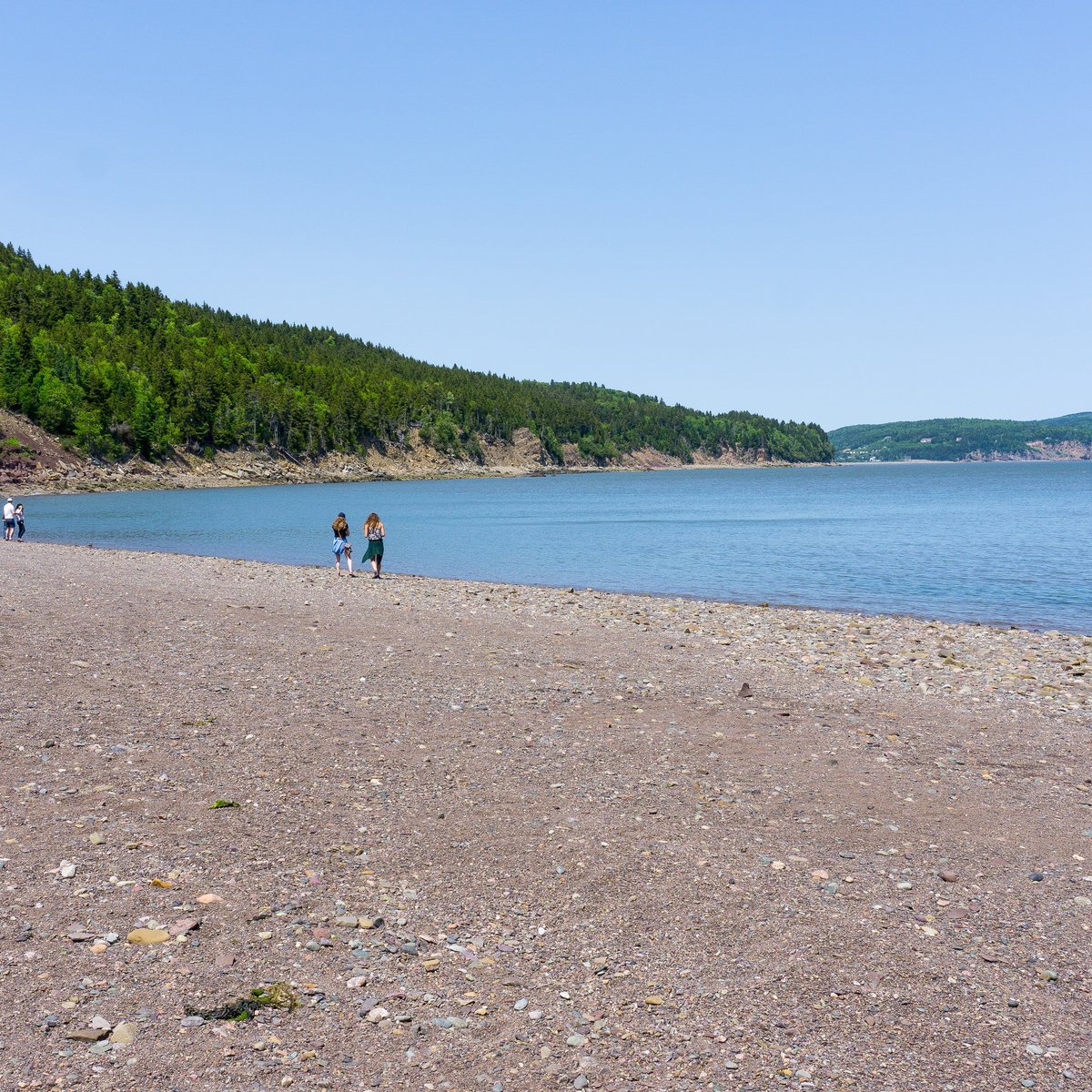 Herring Cove Beach (Alma) 2022 Alles wat u moet weten VOORDAT je gaat