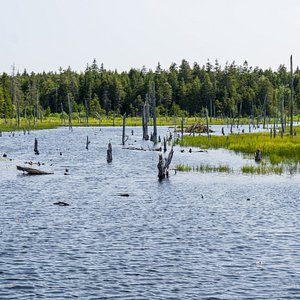 Noramérica Canadá Nuevo Brunswick Fundy Parque Nacional Horquillas