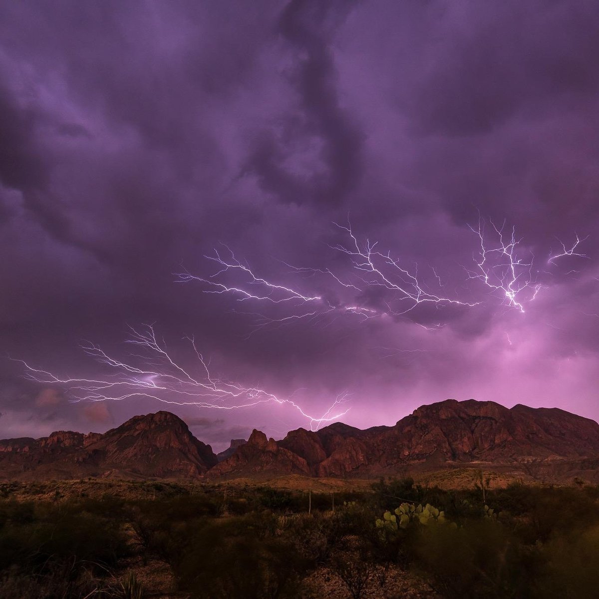 Big Bend Birding & Photo Tours - All You Need to Know BEFORE You Go (2024)