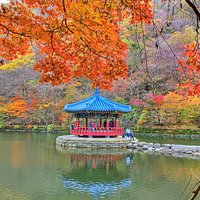 Magnificent Naejangsan National Park Autumn Foliage Tour from Seoul ...