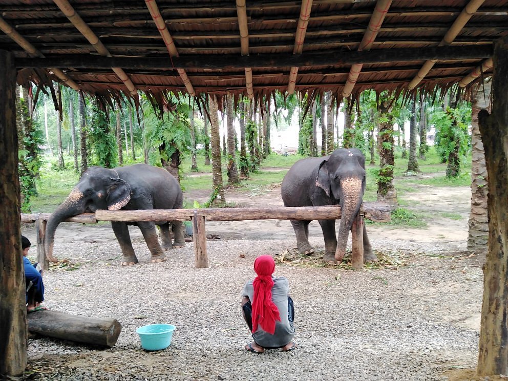 Krabi Elephant Heaven Ao Nang Thailand Address Phone Number Tripadvisor 