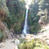 Things To Do in Jembong Waterfall, Restaurants in Jembong Waterfall