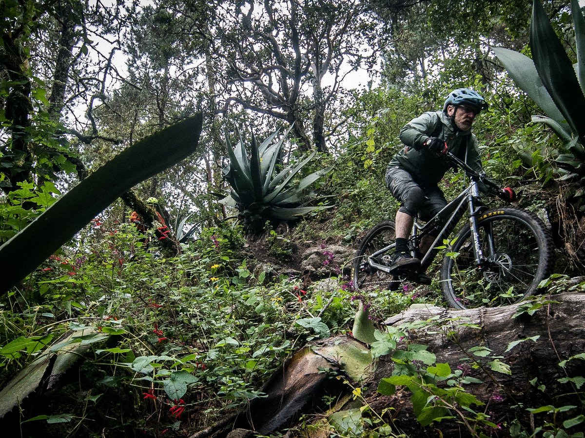 oaxaca bike