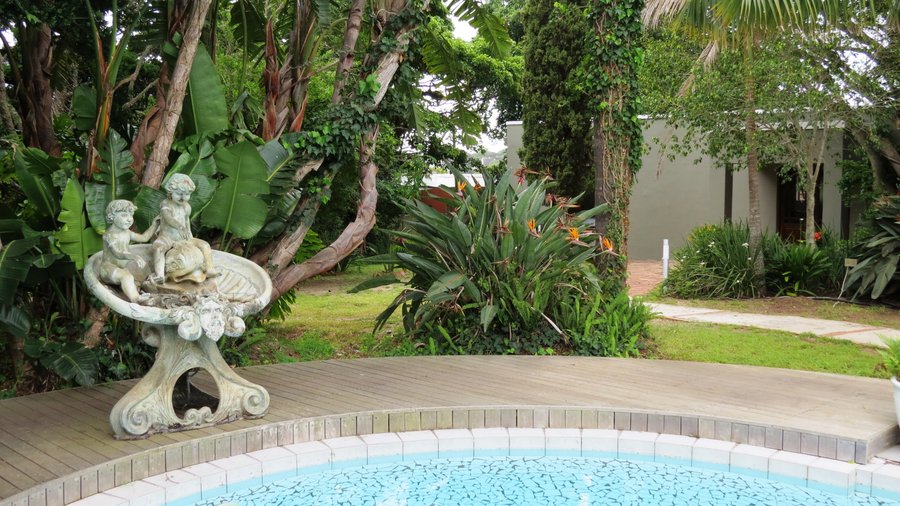 Leafy garden with divine pool
