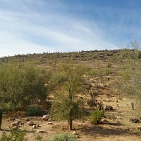 Deem Hills