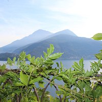 Vista dall'interno di uno dei piccoli tesori del giardino botanico