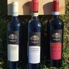 Cantina La Veneranda