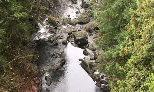 Kinsol Trestle