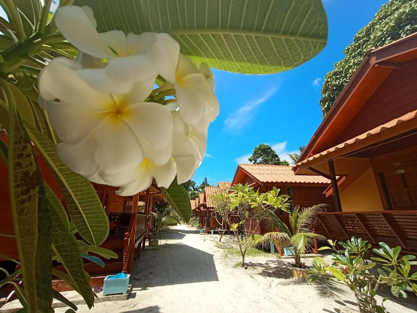 COCO BEACH BUNGALOWS - Updated 2024 Prices & Hotel Reviews (Ko Lipe, Thailand) COCO BEACH BUNGALOWS - Updated 2024 Prices... 