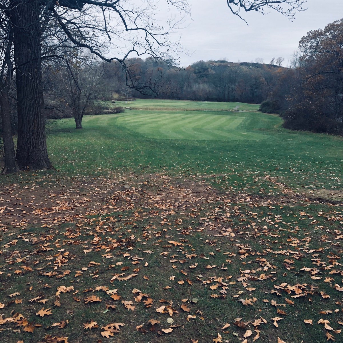 Alling Memorial Golf Club (New Haven) 2022 Lo que se debe saber antes