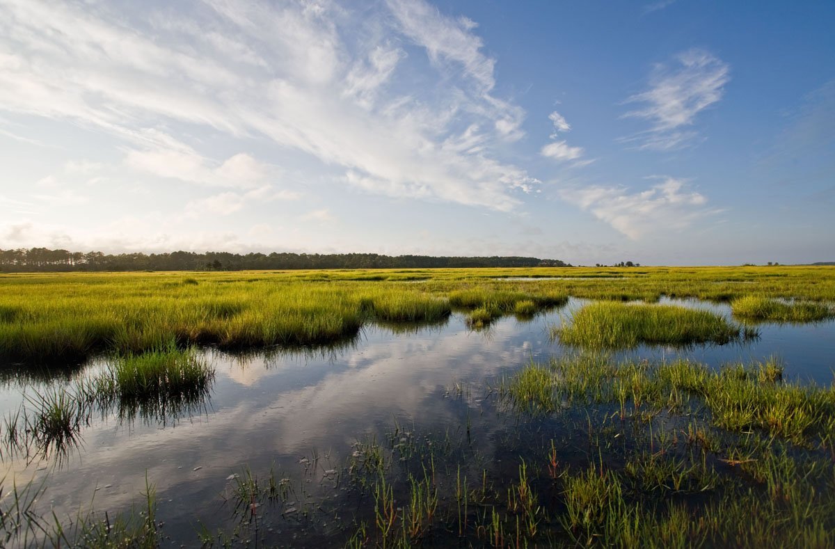 THE 15 BEST Things to Do in Eastern Shore of Virginia - 2022 (with ...