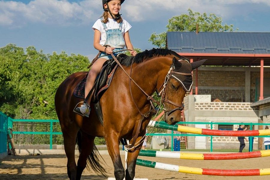 Nairi Equestrian Club image