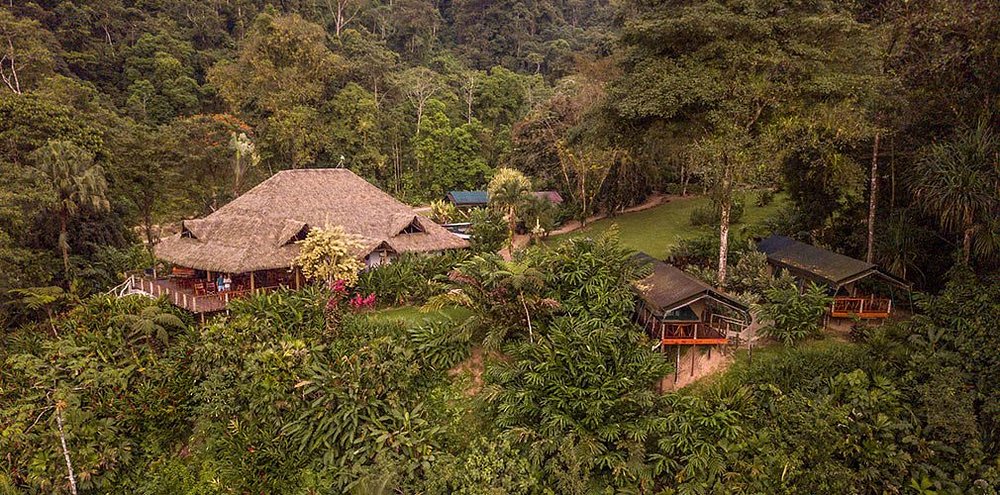 rafiki safari lodge costa rica reviews