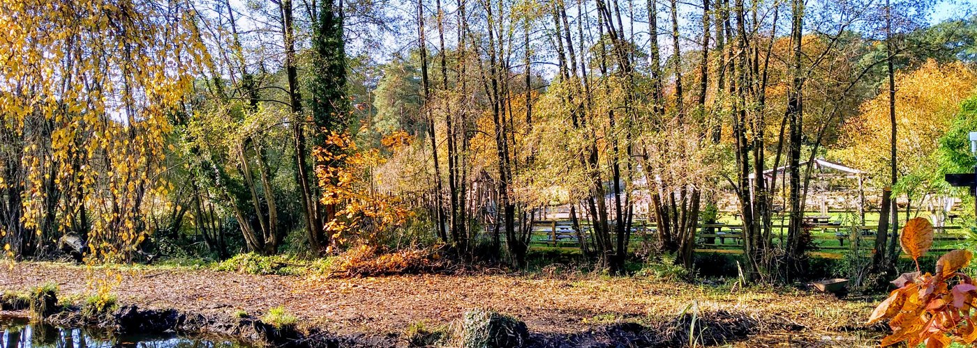 The view of the Pond from the Falkner Watersedge Lodge patio.